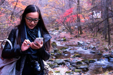 jmcomic安装步骤示意图