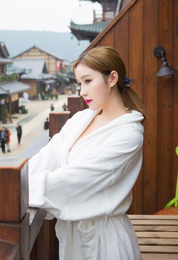 jmcomic权限说明图示